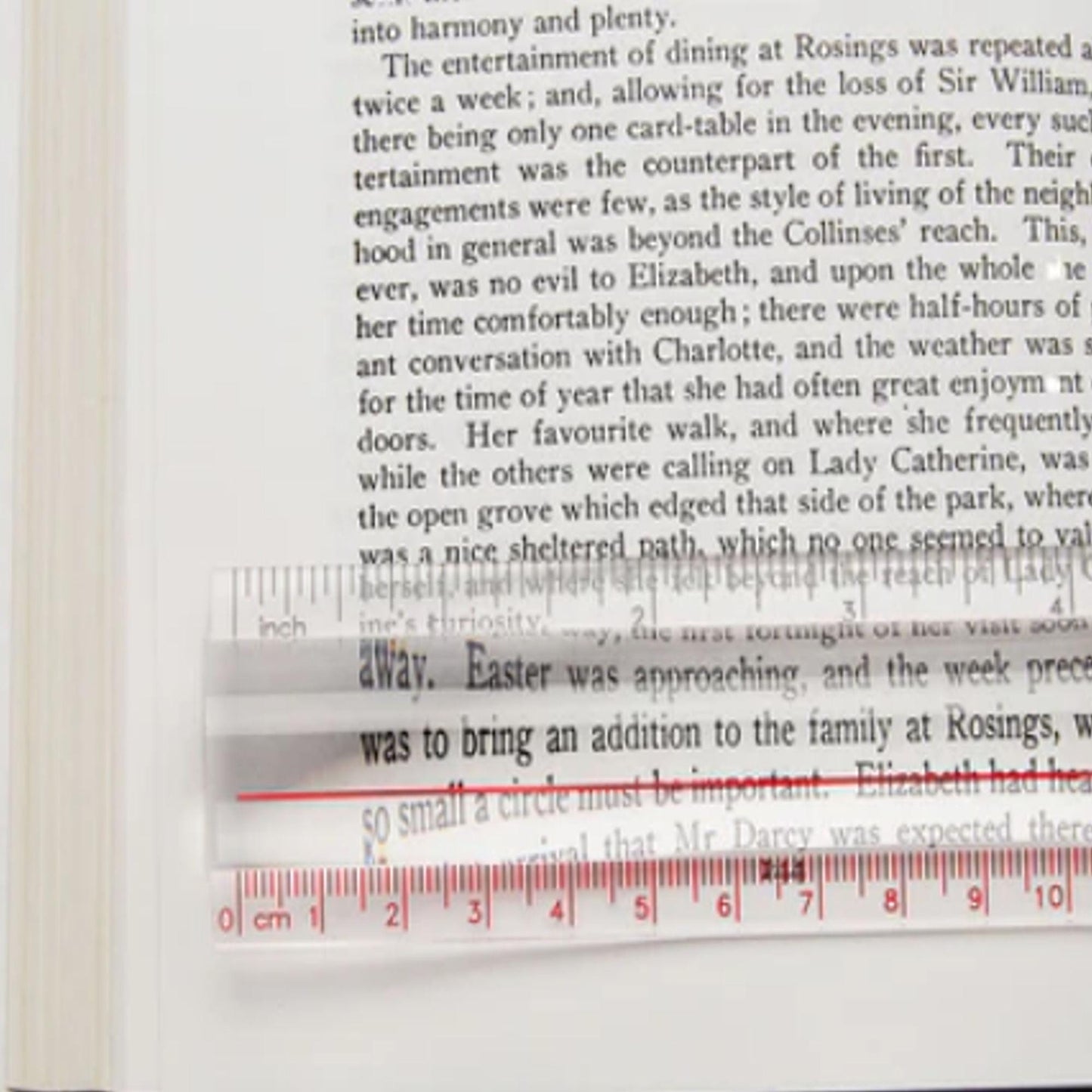 Might Bright Ruler Magnifier