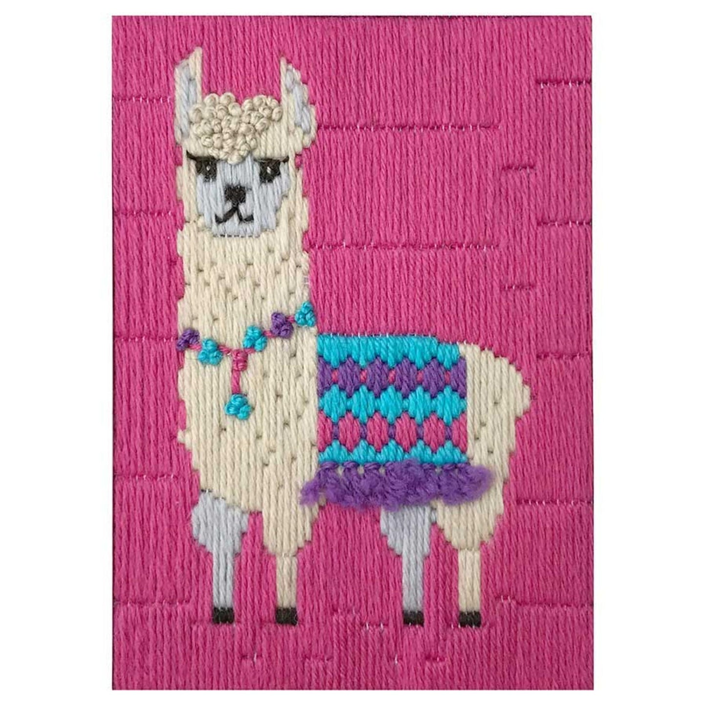 Beautron Long Stitch Kit - Raccoon