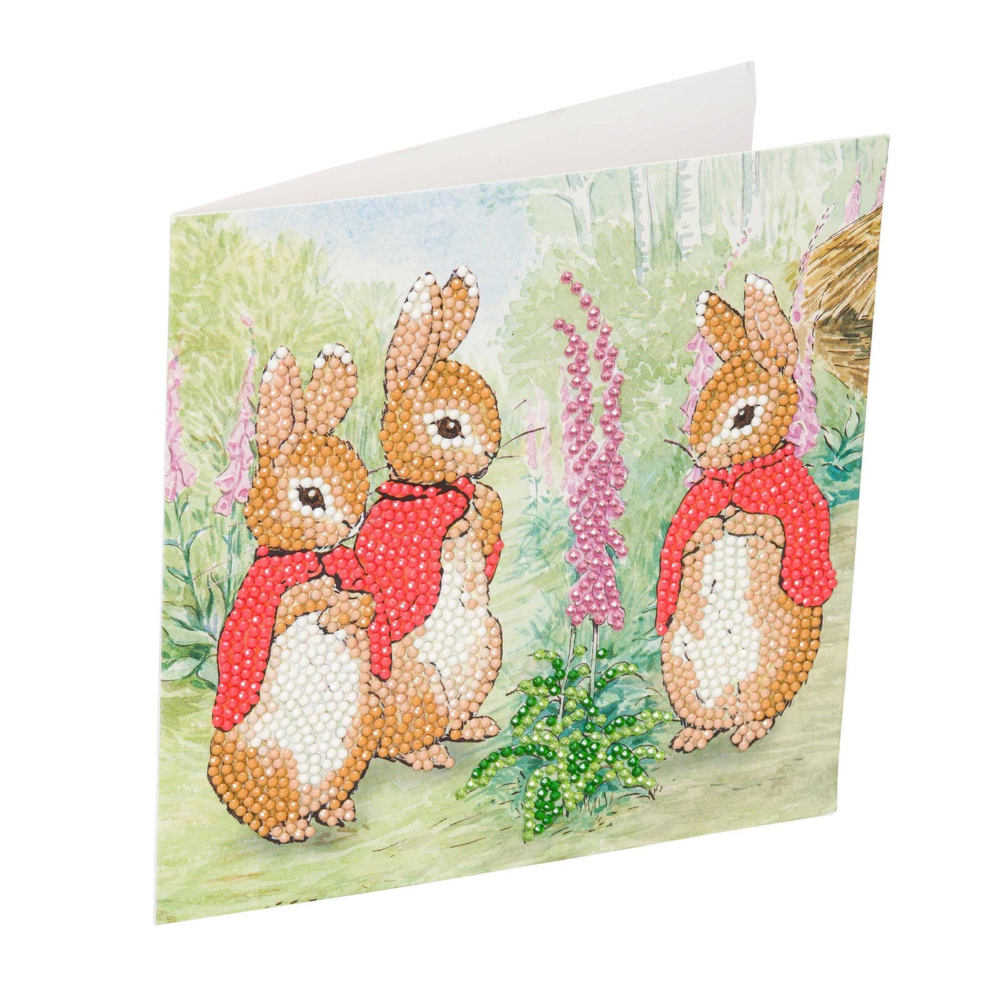 Craft Buddy Peter Rabbit Crystal Art Card Kit