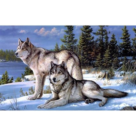 Wolves Diamond Painting 32cmx24cm
