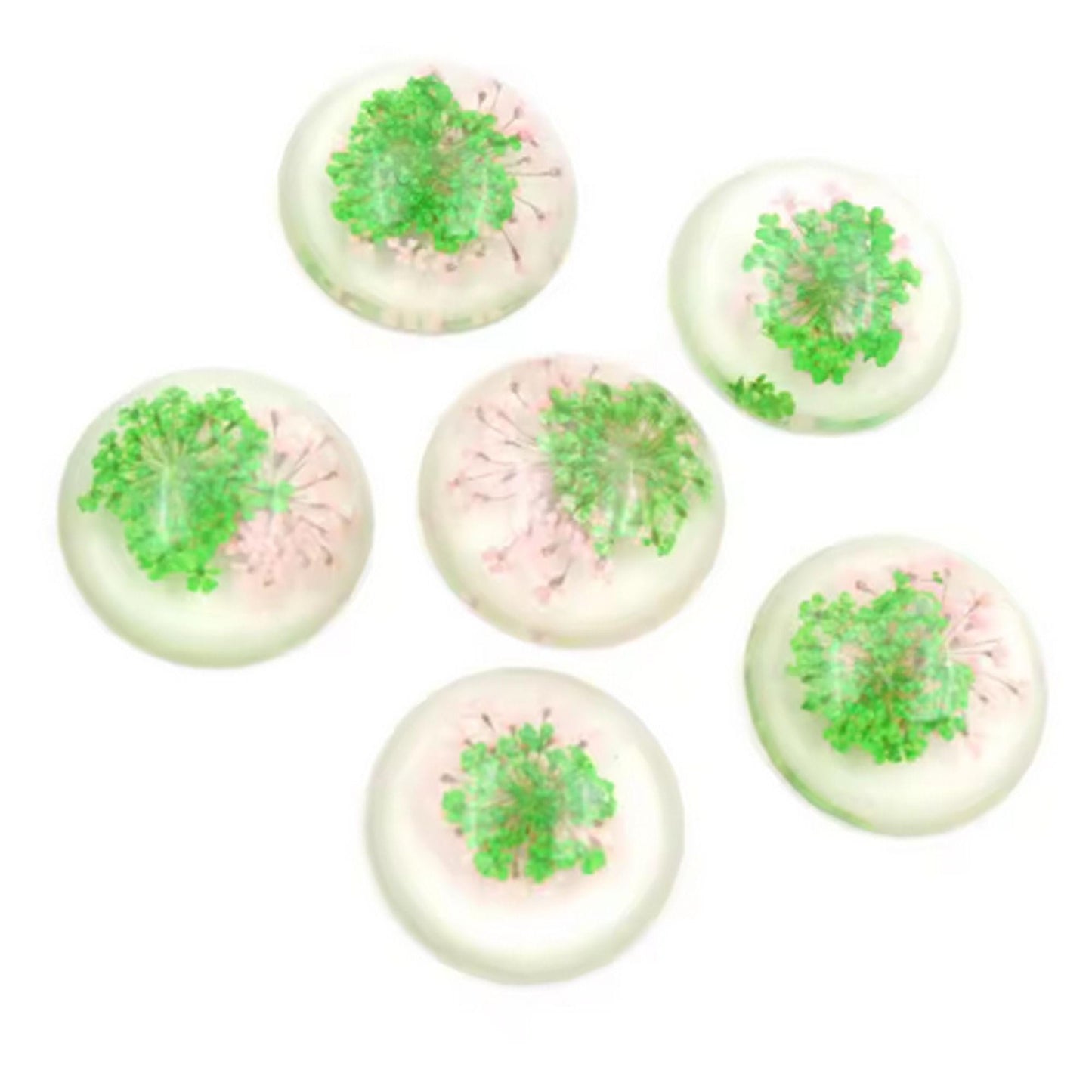New Fashion Set of 5: 25mm Mixed Natural Dried Flower Resin Flat Back Cabochons
