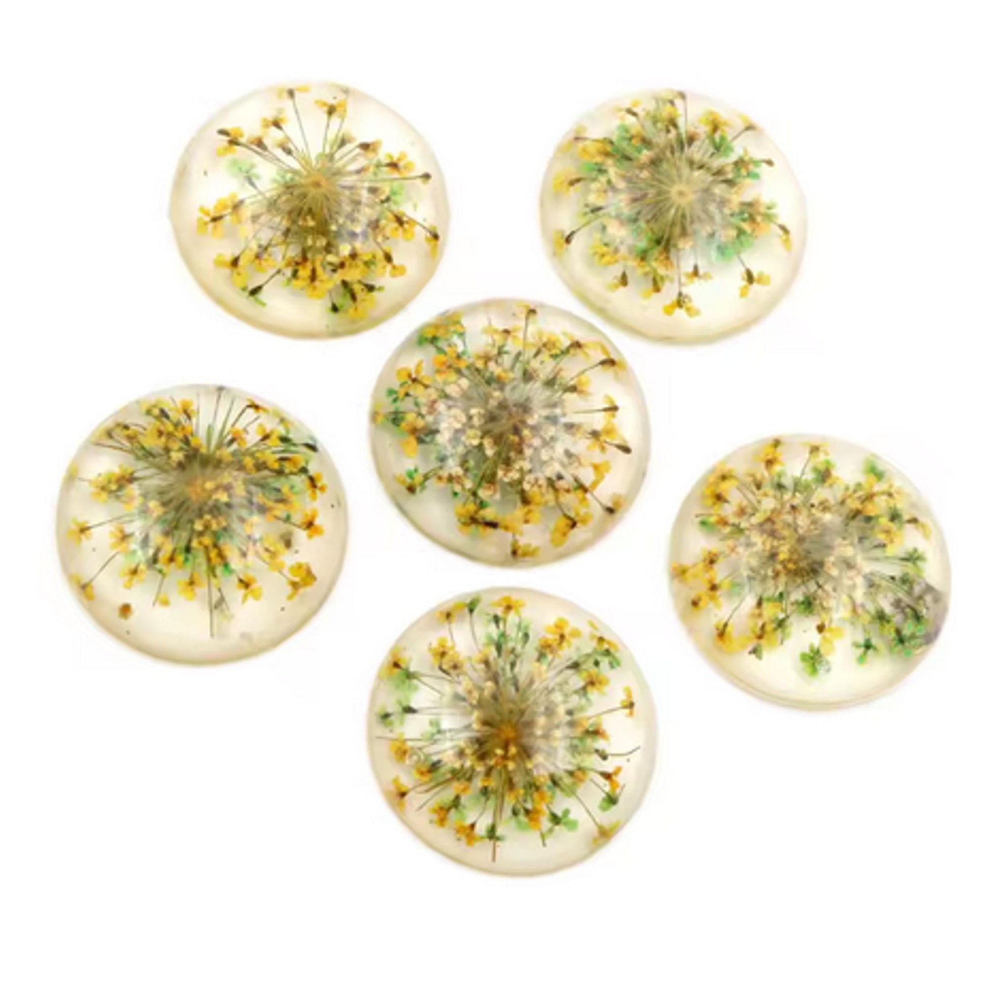 New Fashion Set of 5: 25mm Mixed Natural Dried Flower Resin Flat Back Cabochons