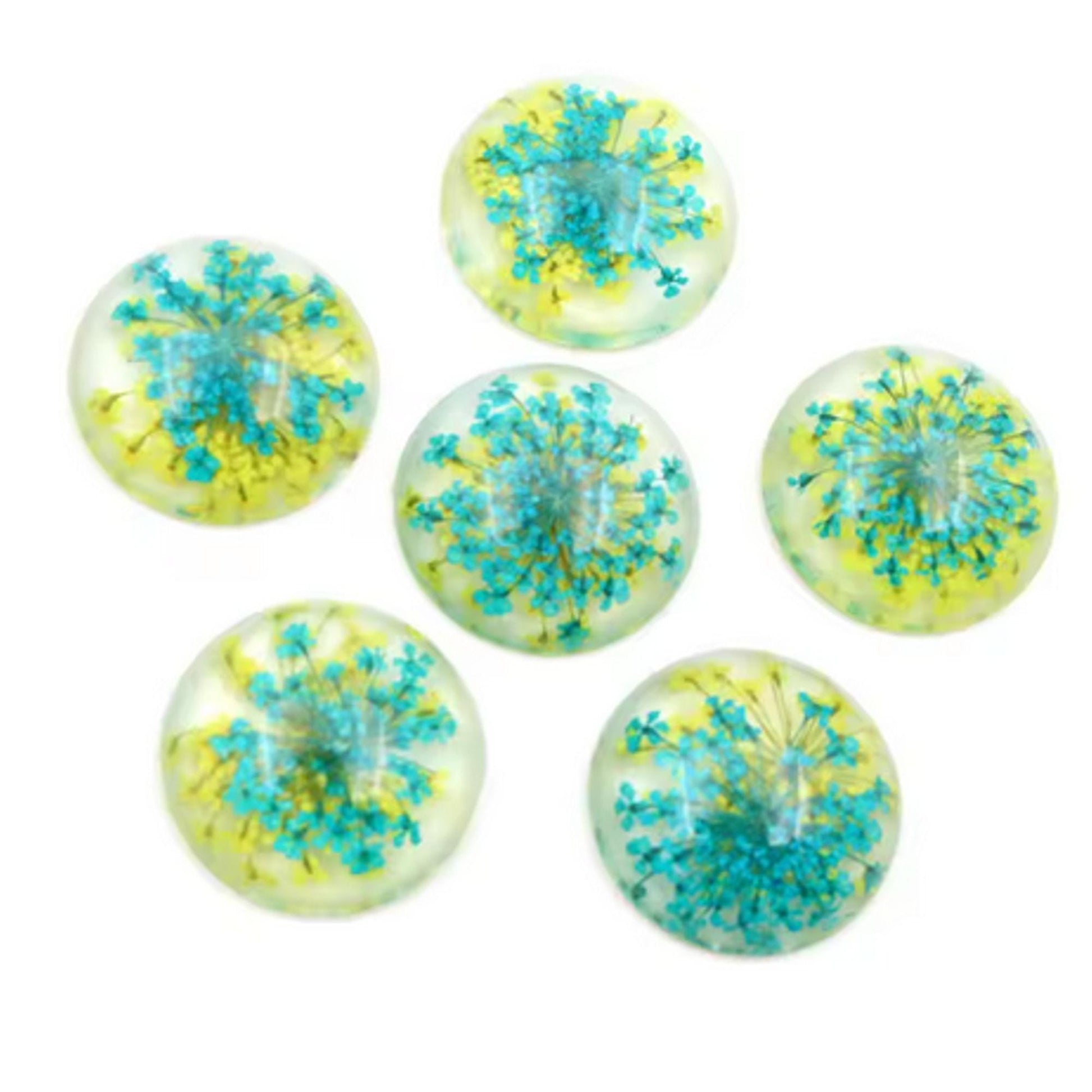 New Fashion Set of 5: 25mm Mixed Natural Dried Flower Resin Flat Back Cabochons