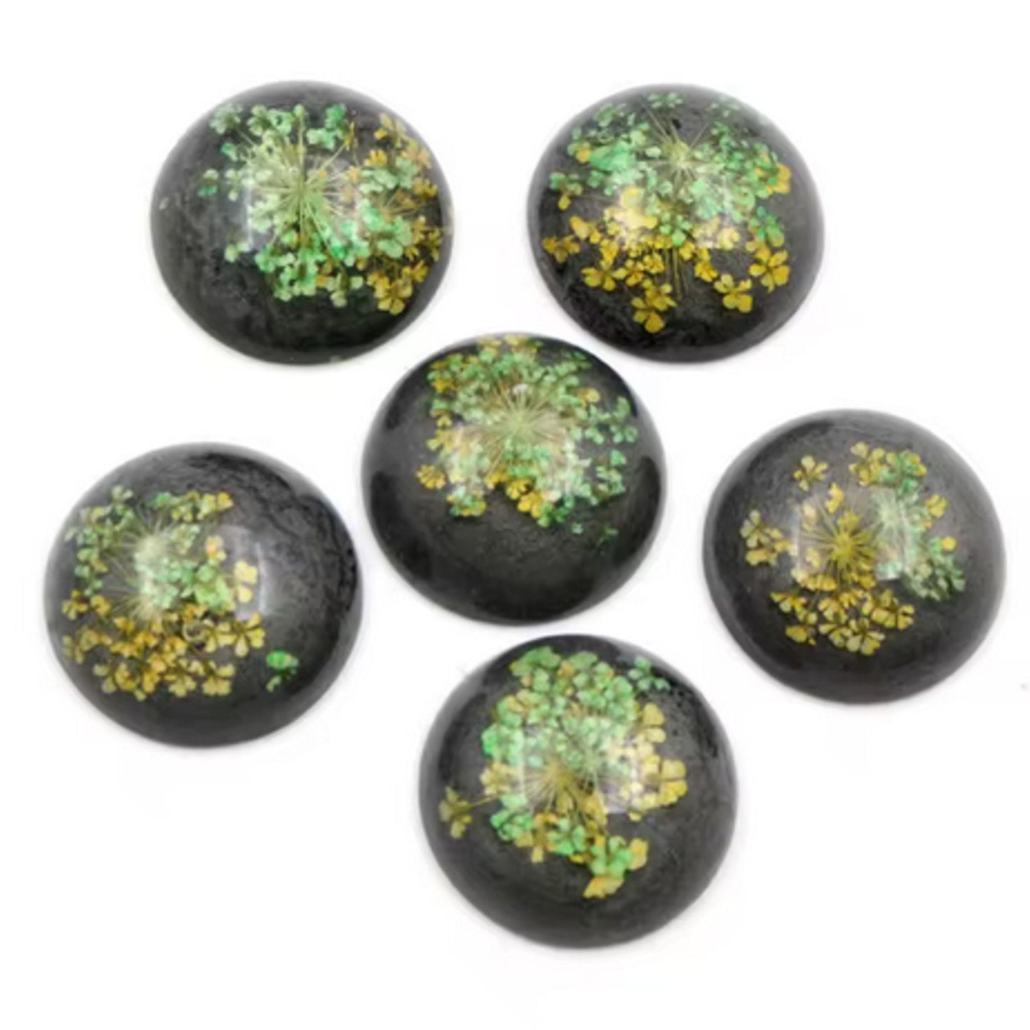 New Fashion Set of 5: 25mm Mixed Natural Dried Flower Resin Flat Back Cabochons