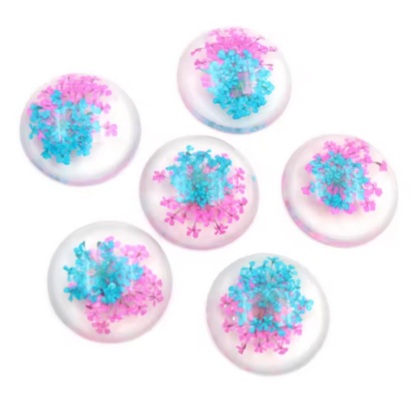 New Fashion Set of 5: 25mm Mixed Natural Dried Flower Resin Flat Back Cabochons
