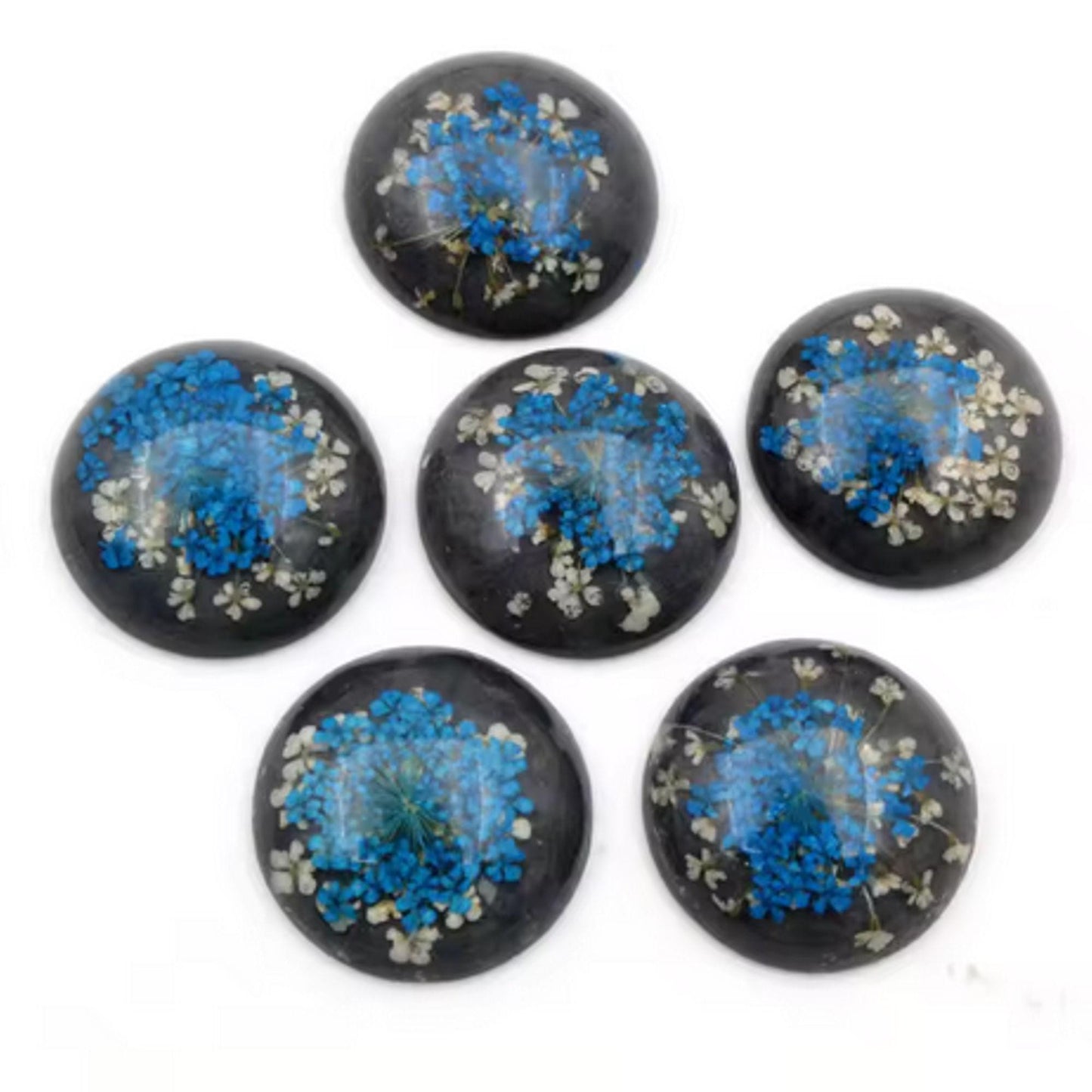New Fashion Set of 5: 25mm Mixed Natural Dried Flower Resin Flat Back Cabochons