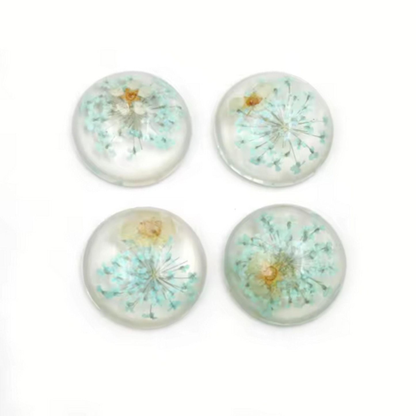 New Fashion Set of 5: 25mm Mixed Natural Dried Flower Resin Flat Back Cabochons