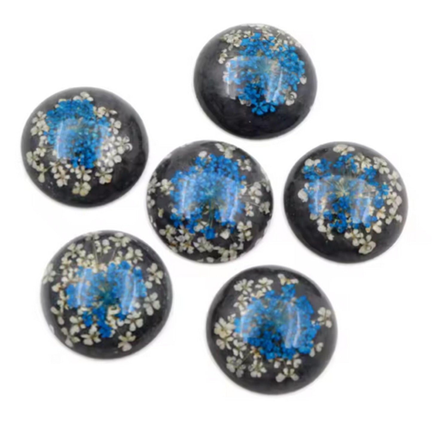 New Fashion Set of 5: 25mm Mixed Natural Dried Flower Resin Flat Back Cabochons