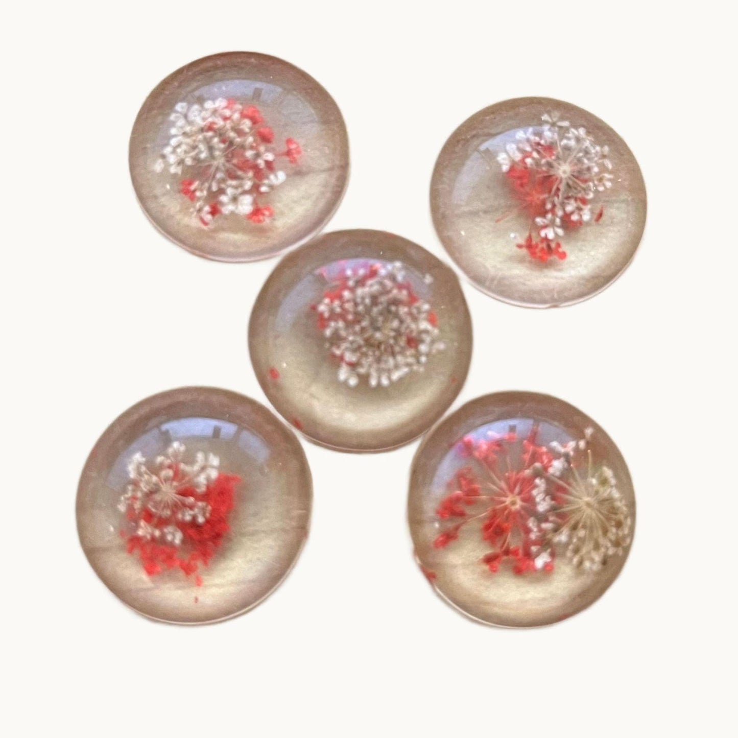New Fashion Set of 5: 25mm Mixed Natural Dried Flower Resin Flat Back Cabochons