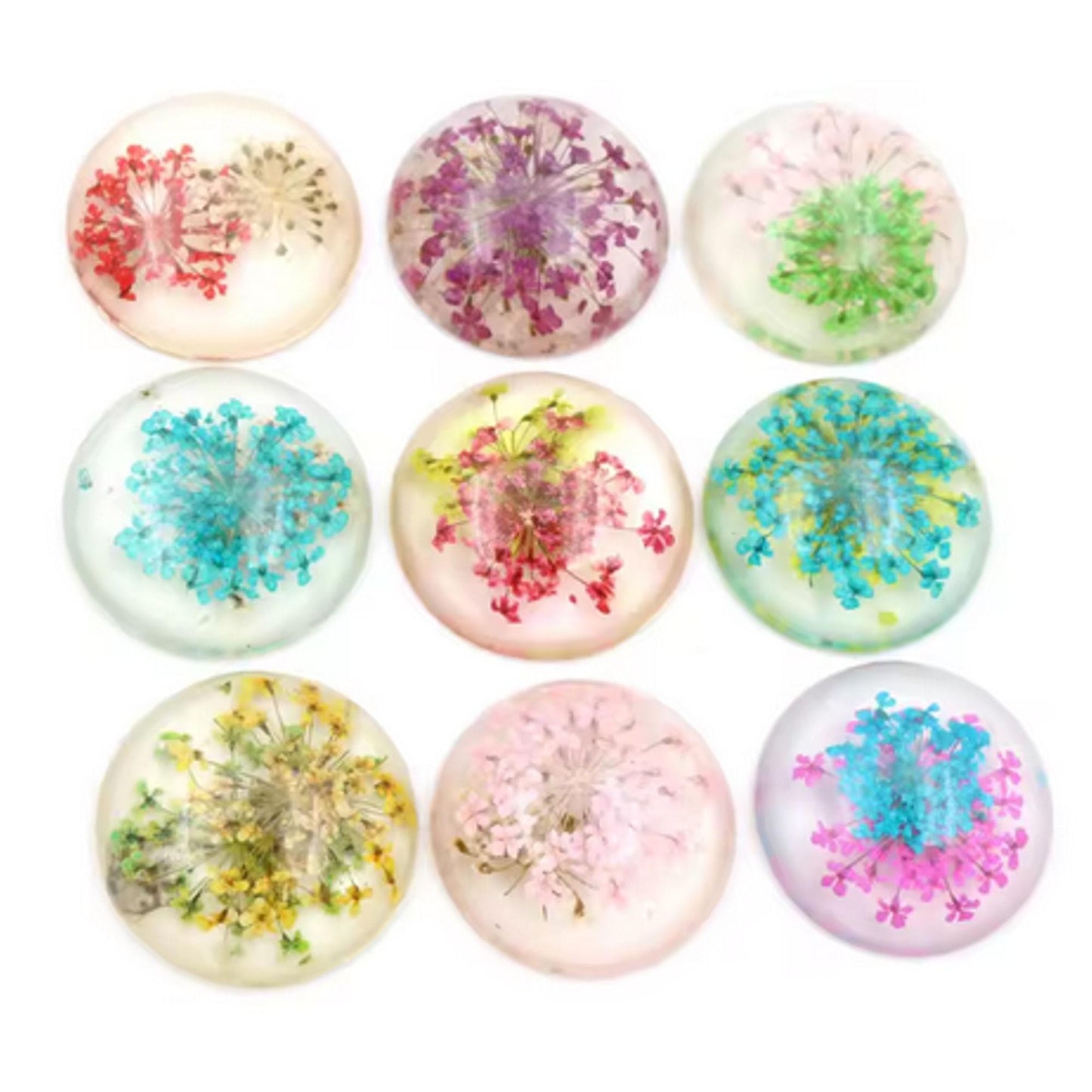 New Fashion Set of 5: 25mm Mixed Natural Dried Flower Resin Flat Back Cabochons