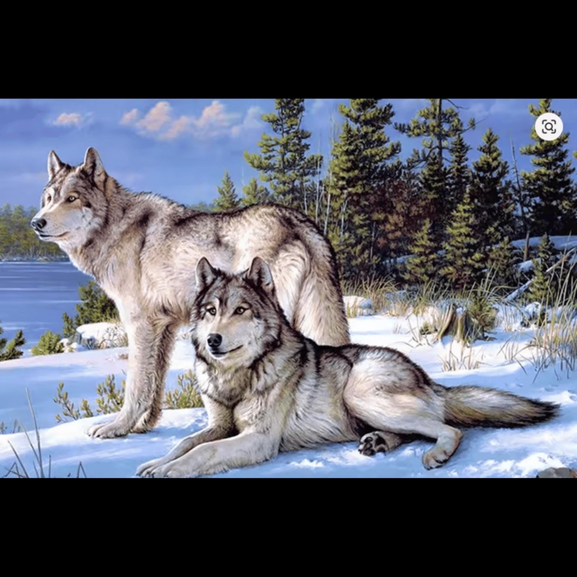 Wolves Diamond Painting 32cmx24cm