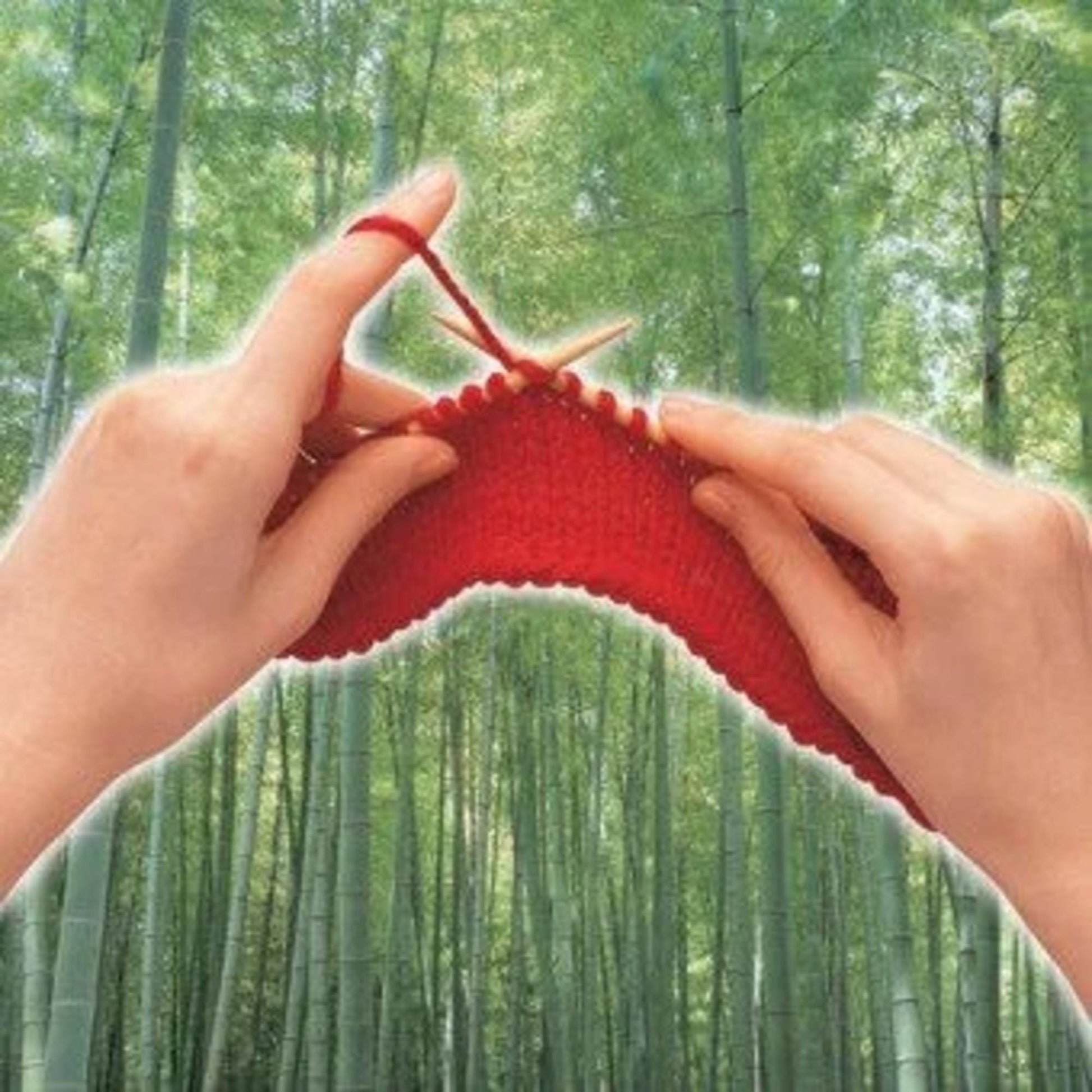 Bamboo Knitting Needles “Takumi” Double Pointed 20 cm