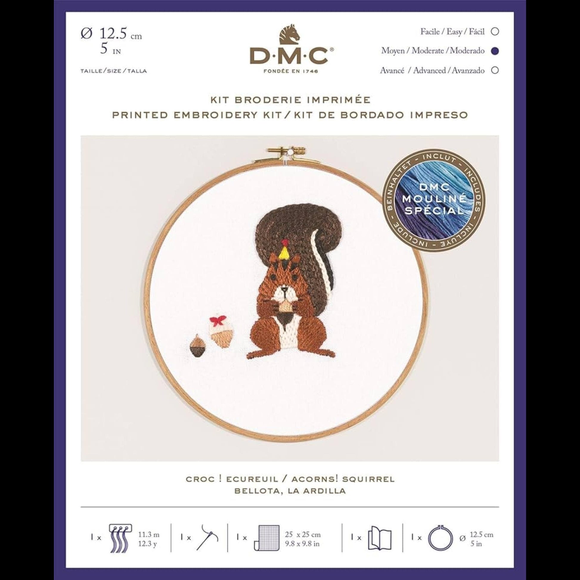 DMC Acorns! Squirrel Embroidery Kit