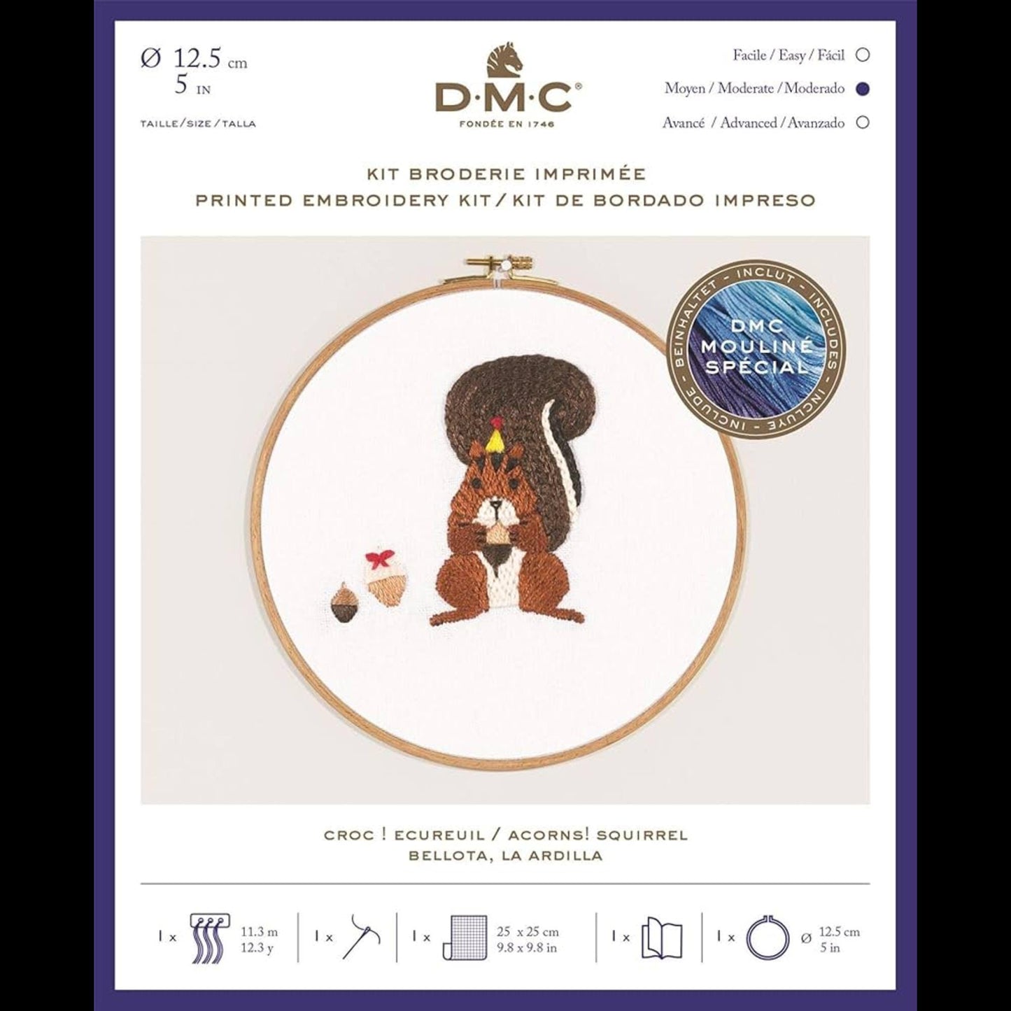 DMC Acorns! Squirrel Embroidery Kit