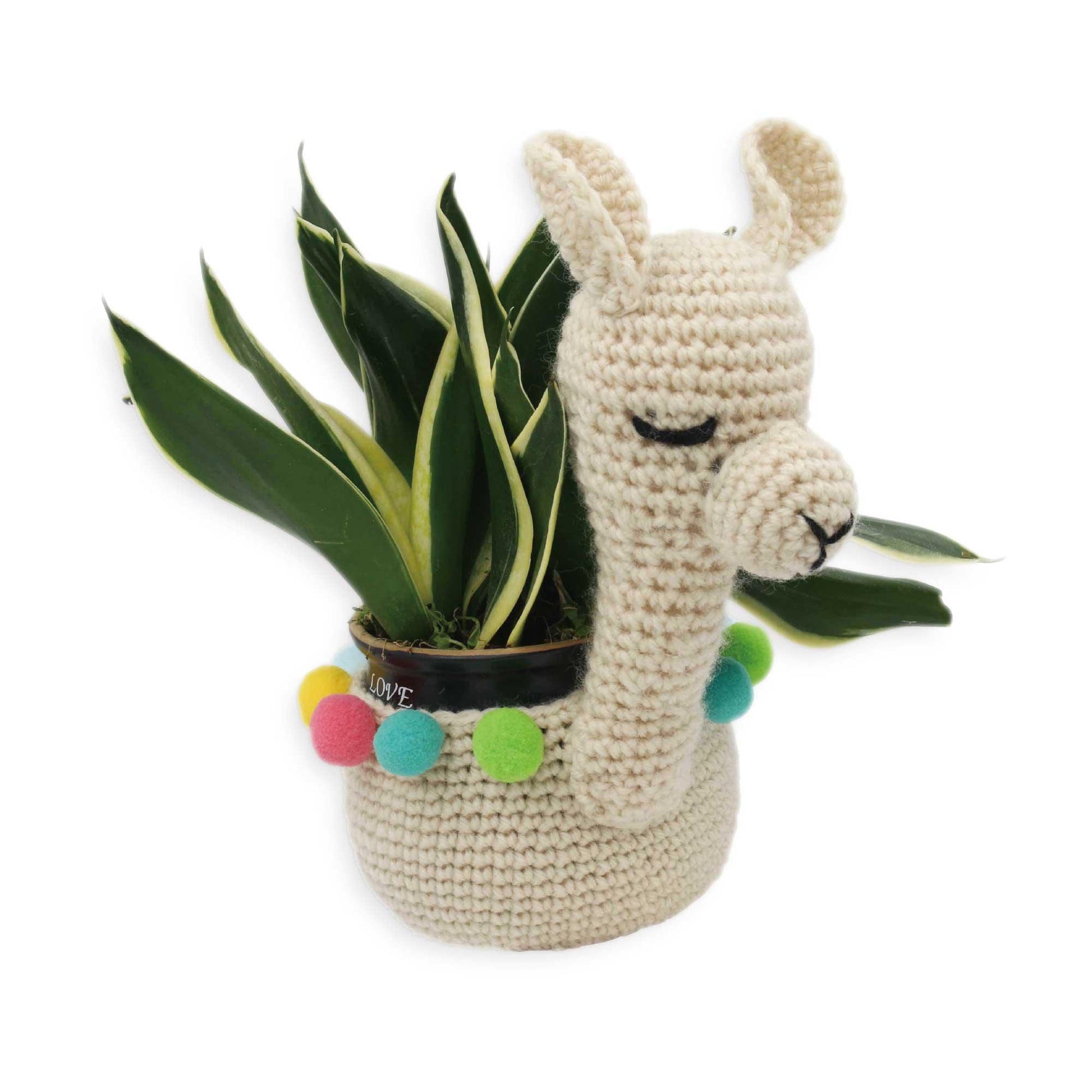 DIY Crochet Plant Holder Kit | Llama or Sloth | Amigurumi Crochet Kit | Plant Lover Gift | Intermediate Crochet Project